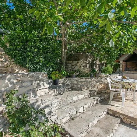 Apartment Maslina Brodarica (Sibenik-Knin)