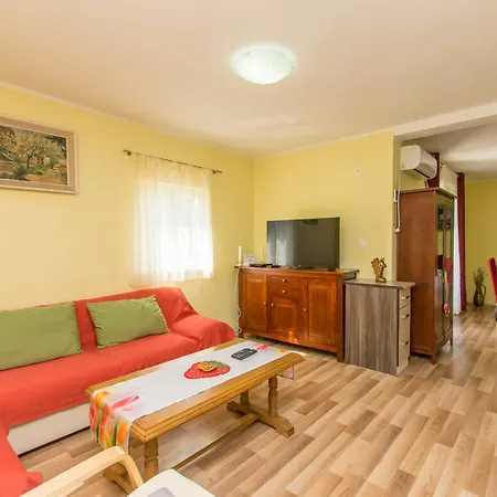 Maslina * Brodarica (Sibenik-Knin)