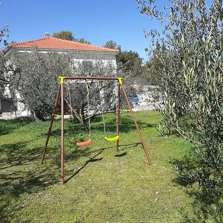 Maslina Brodarica (Sibenik-Knin)